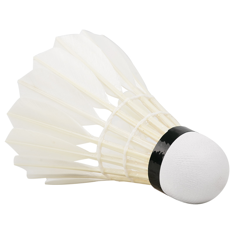 Volant de Danemark minton prof - Badminton Youtube avis et prix