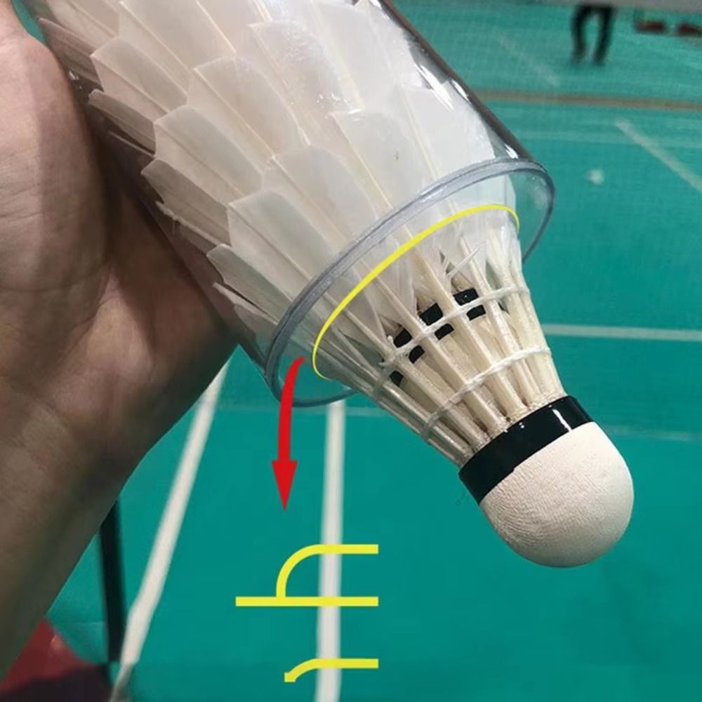Volants magnétiques, Tube de r - Badminton Youtube avis et prix